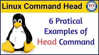 6 Examples Usage of Head Linux Command | Head Command in Unix