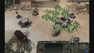 4000 pigeons