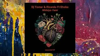 DJ Tomer & Ricardo feat. Shoba &mdash; Nhliziyo Yami