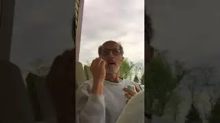 The Wisdom Architect of God