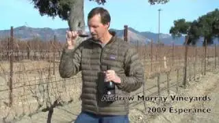2009 Esperance - Andrew Murray Vineyards