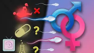 Мифы и факты о выборе пола: что работает? Что нет?