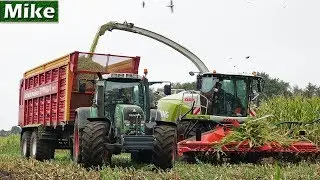 2019 | Mais h&auml;ckseln mit Claas Jaguar 950 [Type 498] | Josef Epping | Fendt | Schuitemaker.