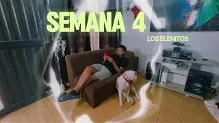 SEMANA 4 #humor #comedia #comedy #funny #family #video #viral #viralvideo