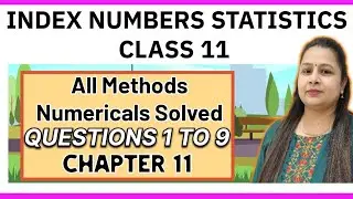 Index Numbers Statistics Class 11 | All Methods Practical Questions 1 to 9 | Chapter 11