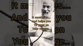 The real friend #osho #oshointernational #awerness #friends #relationship #advice #india #youth