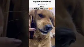 Social Media Alert My Bank Balance 3.50Rs.#alert #bank #balance #doges #haryanvisong #punjabisong