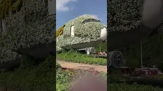 Miracle garden✨🫶#youtubeshorts #travel #trending #viral #roadtrip @TravelThirstyBlog