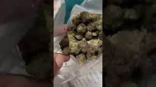 Discount pharms review blueberry QP