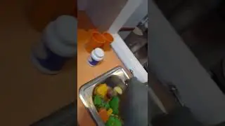 Shark puppet Kitchen