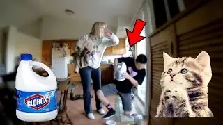 GIVING MY CAT BLEACH PRANK ON MY MOM! (Hilarious Reaction)