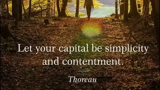 Daily Calm &mdash; November 20, 2024 &mdash; Beschaulich