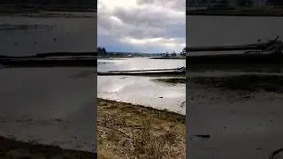 Parksville Estuary in late October - Vancouver Island