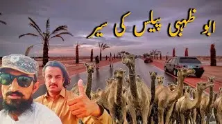 Visit to Shekh Zaid Palace Rahim Yar Khan | Dates Orchard in Desert | Arts by Shahzad Saqi