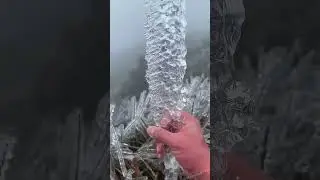 A frozen world #satisfying #ice #snow #fyp  #asmr #USA #ChicagoVibes #NewYorkReels