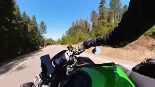 Who Cares? Kawasaki Z H2