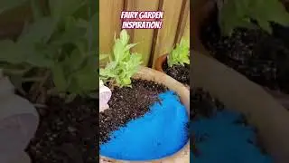 Let's Make a Beach Inspired Fairy Garden! #fairygardens #dollartree