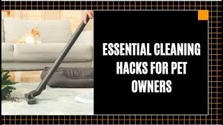 Essential Cleaning Hacks For Pet Owners | Bond Cleaning Gold Coast
