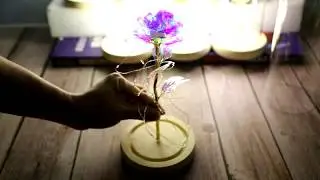 LED Galaxy Enchanted Rose Review - Beauty and the Beast