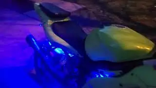 Custom PUMA Yamaha YZF R6 - Cheetah Boy- Straight Pipe
