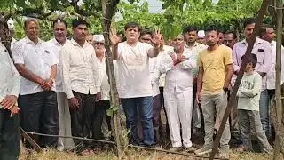 सरकारचं डोकं फिरलंय का? रस्त्याच्या नावाखाली शेतकऱ्याच्या द्राक्ष बागेवर बुलडोजर!