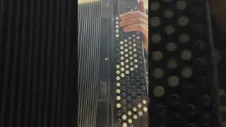 Баян Мелодия