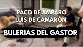 BULERIAS DEL GASTOR - Paco de Amparo y Luis de Camar&oacute;n en Algeciras #buler&iacute;as  #flamencoguitar