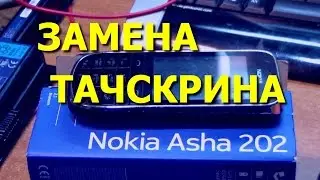 Сотовый телефон Nokia Asha 202. Замена тачскрина  / Replacement Touch Screen