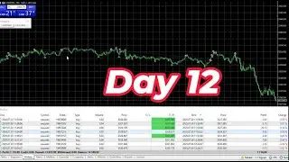 Free Forex Robo Trading Software 2025 | Auto Trading Robot for Beginners | Forex Robot MT4/MT5