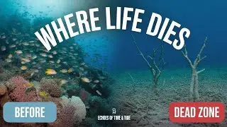 &ldquo;🌊The Ocean&rsquo;s Silent Killer: Dead Zones Explained&rdquo;#DeadZones#OceanCrisis#EchoesOfTime#Hypoxia
