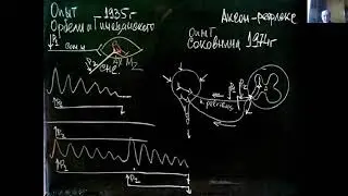 28. ZC-5(в1). Вагин Ю.Е. Конференция Zoom. Ред. Тема ВНС. Части 1,2,3. 14 апреля 2020 10:00