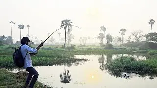 Village River Fish hunting Amazing Fishing Video.Snakehead Fishing Adventure how to Snakehead,Fish 