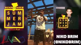 Niko Brim Performance (LNAO Music Festival / Westchester Summer Jam)