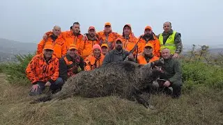 🇲🇰- Најдобар отстрел на див вепар во Македонија 2025 🐗🔥🇬🇧- Epic Wild Boar Shot in Macedonia  2025 🐗🔥