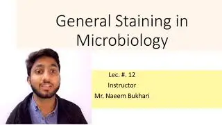 General Staining in Microbiology | Lecture no. 12 Part A|