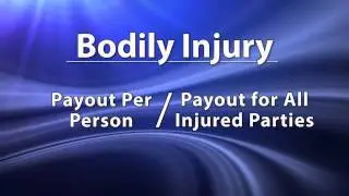 Bodily Injury Property Damage - Do your liability limits cover your assets?