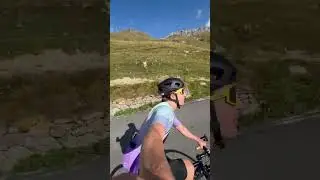 Stelvio Pass short 13