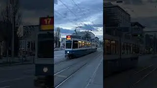 2082 (Linie 17), F&ouml;rrlibuckstrasse, 21. M&auml;rz 2024 #switzerland #zurich #youtubeshorts