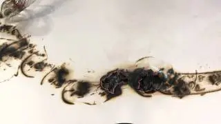 National Glass Centre - Glass Pyrographic