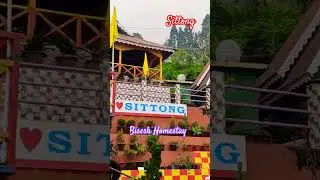 Sittong Bisesh Homestay 🌿🌲☘️ #homestay #sittong #short #shorts #forever #travel