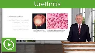 Urethritis: Definition & Pathology &ndash; Infectious Diseases | Lecturio