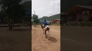 #LittleRider#FirstHorseRide#BraveBoy#TinyAdventurer#CutestCowboy#HorseRideMoments#FearToFun#