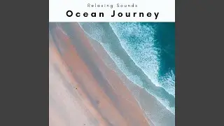 Soothing Beach Noises Trip for Instant Sleep