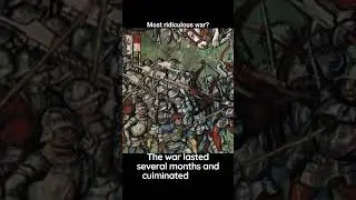 Is this most stupid war ever? #shorts #history #intrestingfacts