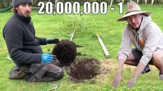 Mr Beast X Acres Lawn Care | Planting Trees