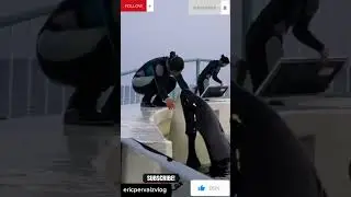 girl kissing a dolphin #girl romantic seen viral
