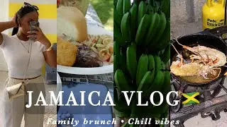 Jamaica Travel Vlog || Family Picnic in Westmoreland Jamaica