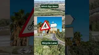 5 Essential Road Signs Every Driver Must Know 🚸