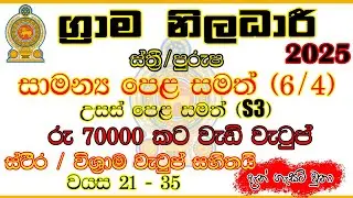 🇱🇰ග්&zwj;රාම නිලධාරී 2025 | Grama Niladhari Exam | Government Job Vacancy | Online Application Guide |