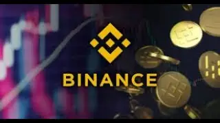 Earn Free BNB Using This Flash Loan Arbitrage Exploit | PancakeSwap + Multiplier Finance
